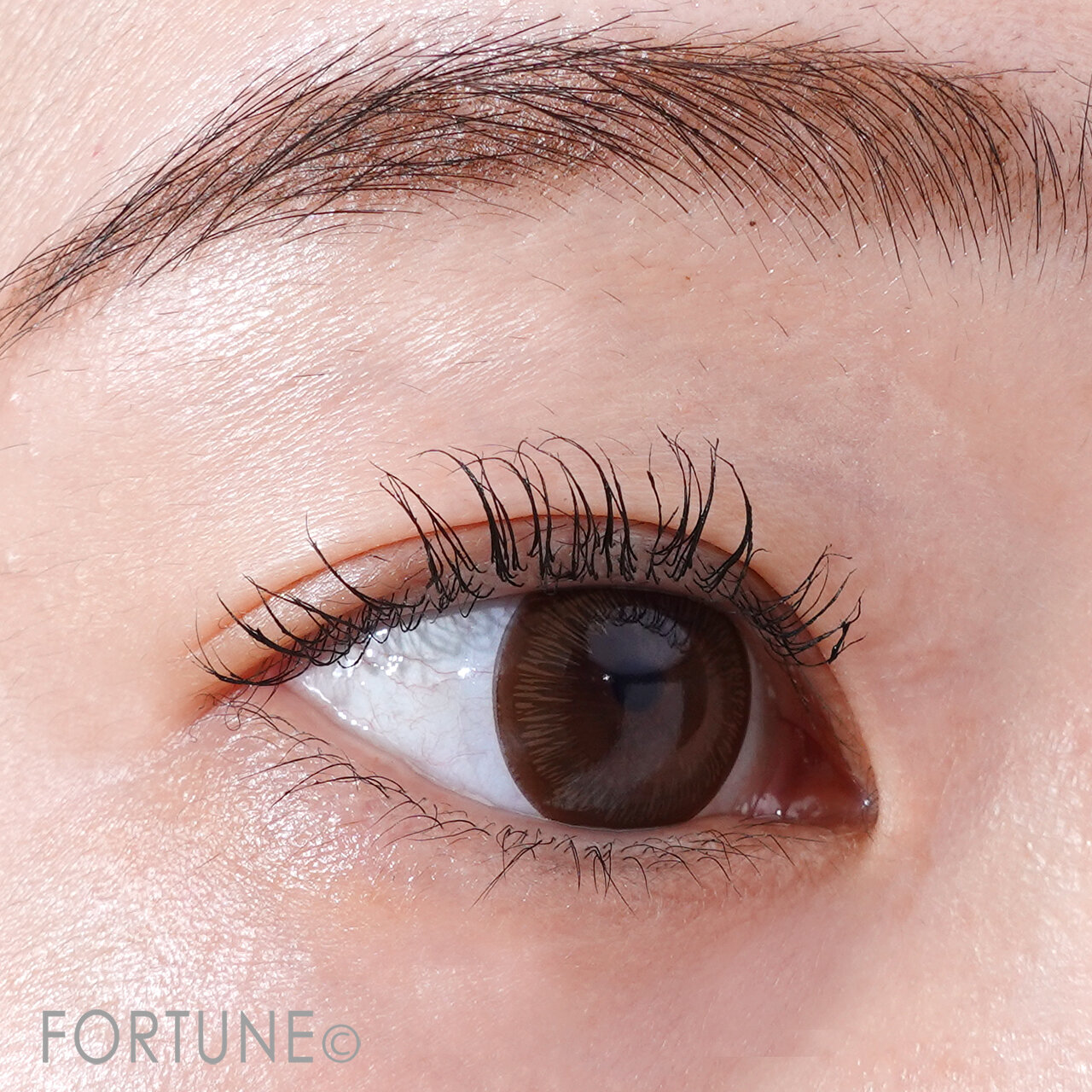 CEZANNE（セザンヌ） 「エアリーロングラッシュマスカラ」