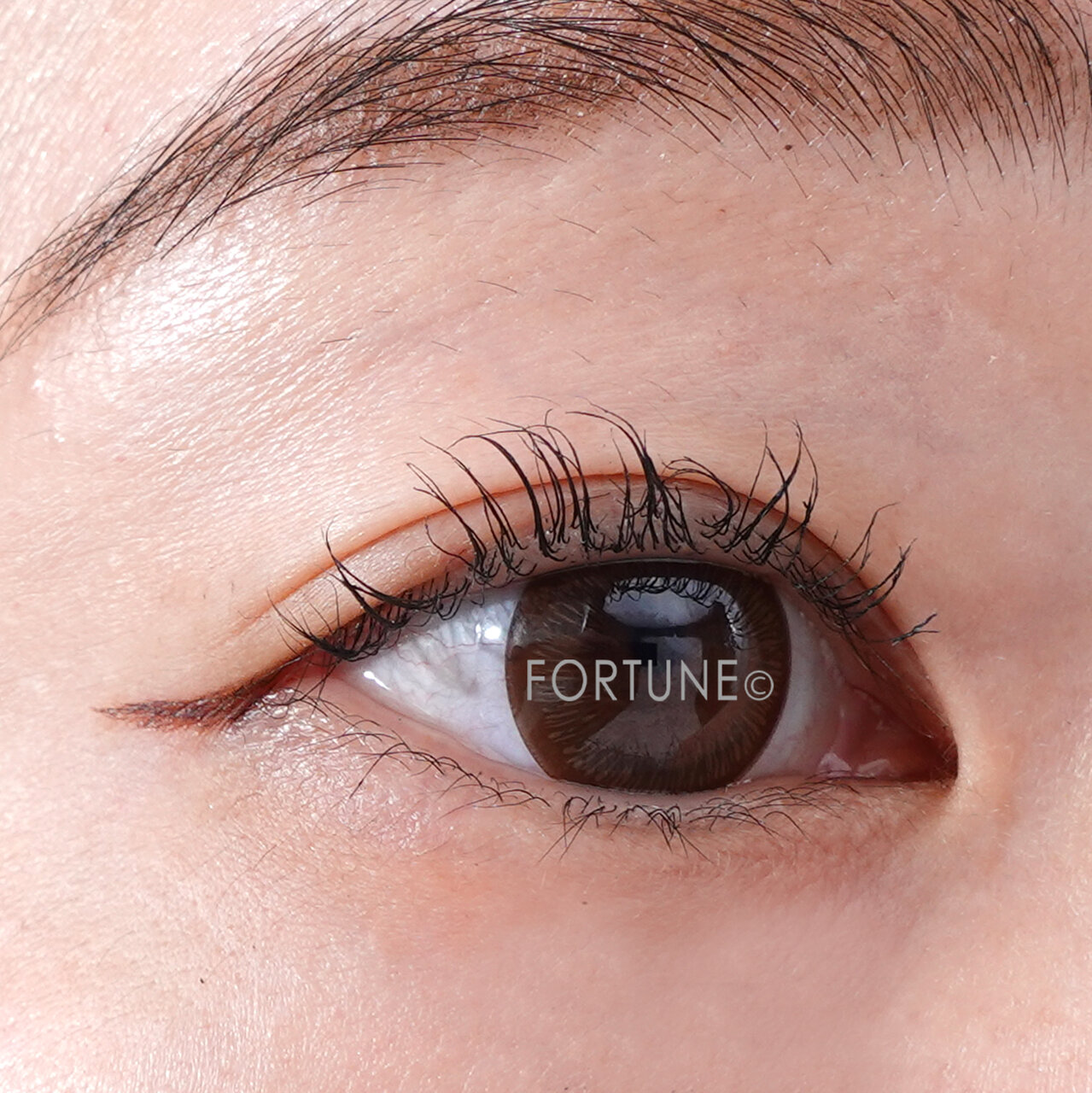 極細アイライナーEX　20ブラウン