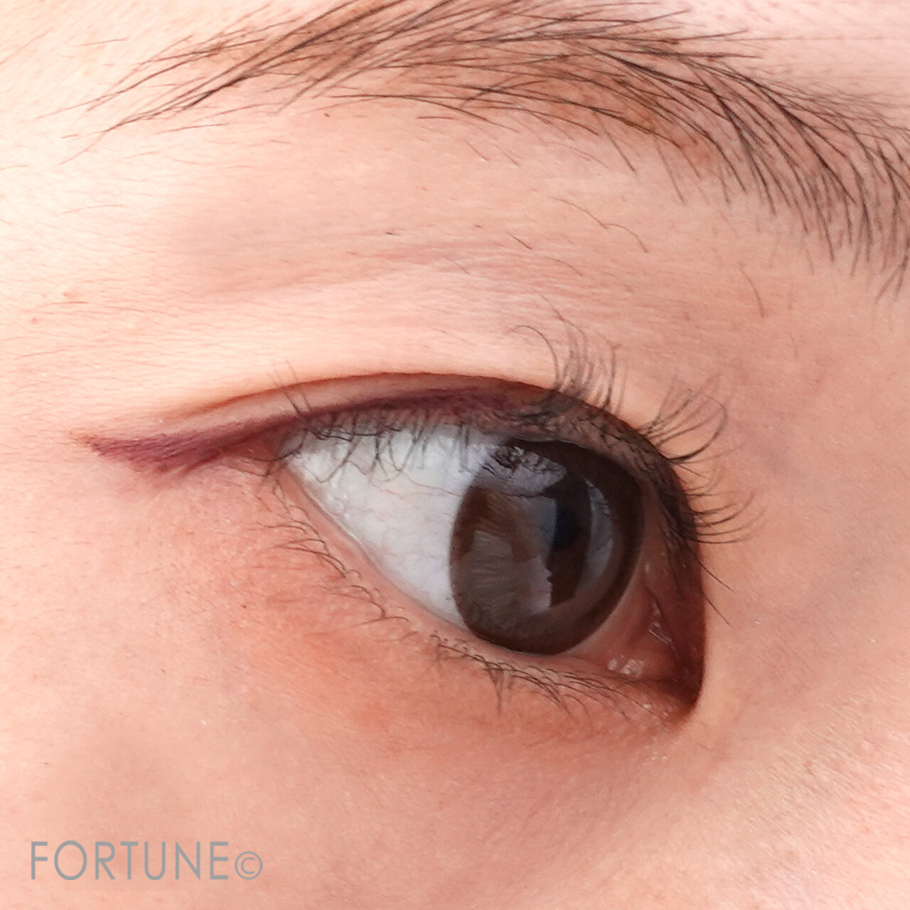 ettusais(エテュセ)　アイエディション　カシスシナモン　ジェルライナー