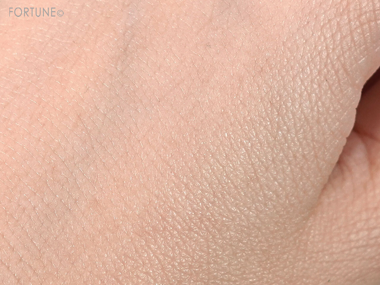 KATE（ケイト）　化粧下地　プロテクションエキスパート（ラスティング）