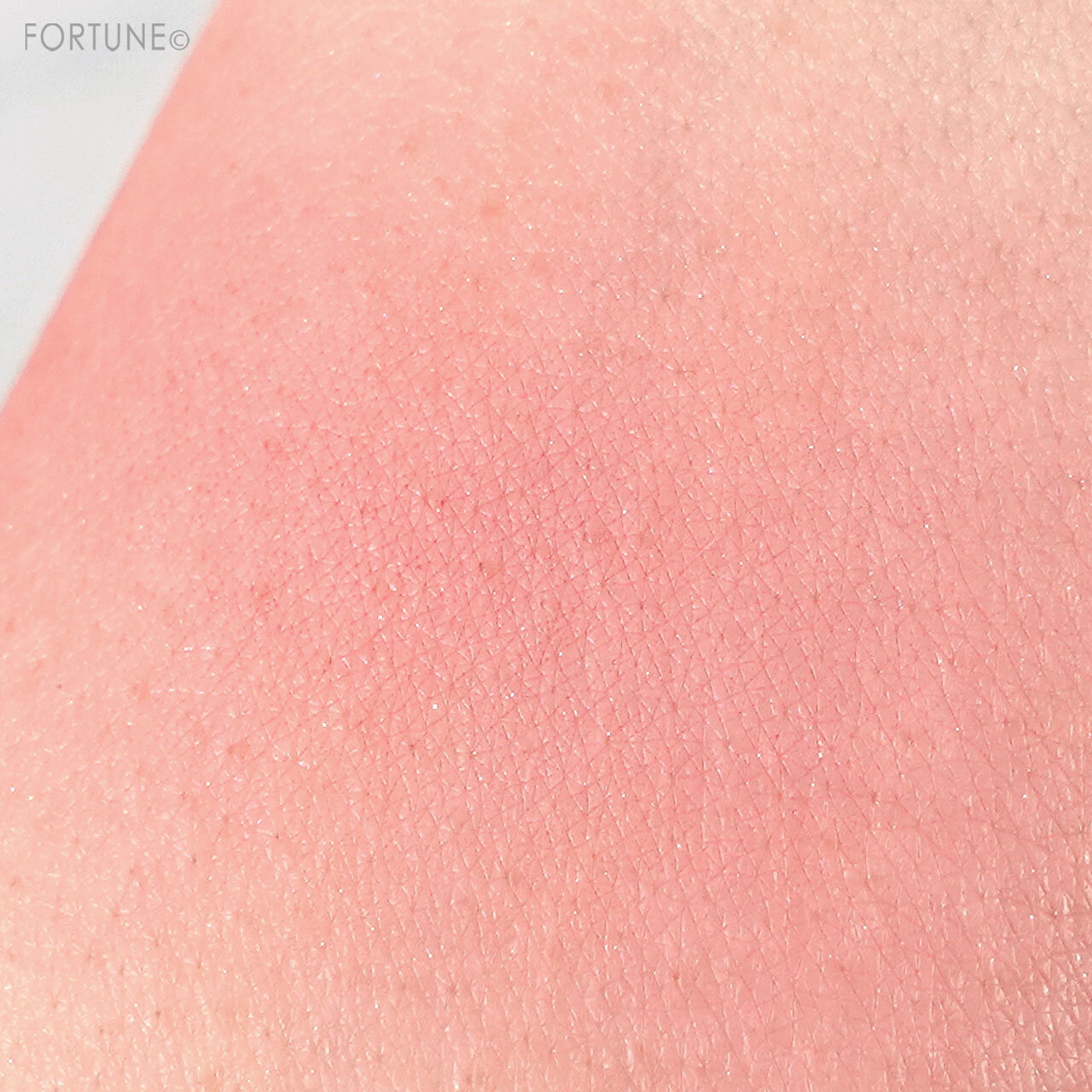 M·A·C（マック）　グロープレイブラッシュ