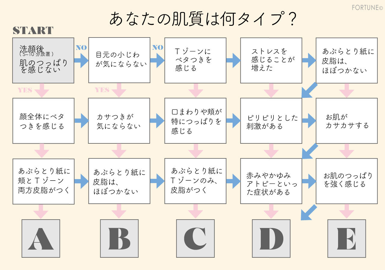 肌質診断チャート