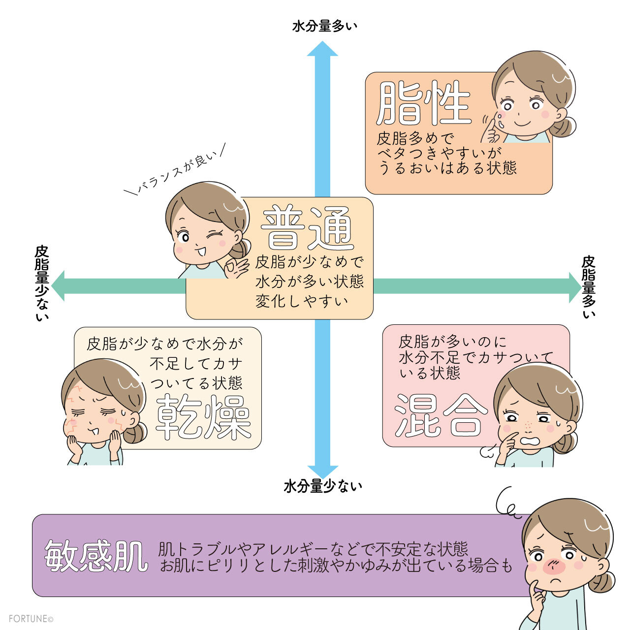 図解でわかる肌質の見分け方