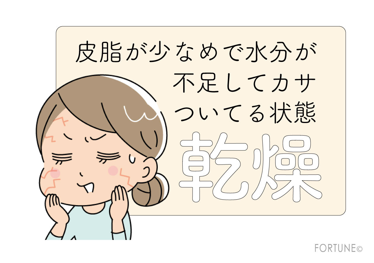 【E】乾燥肌（ドライスキン）