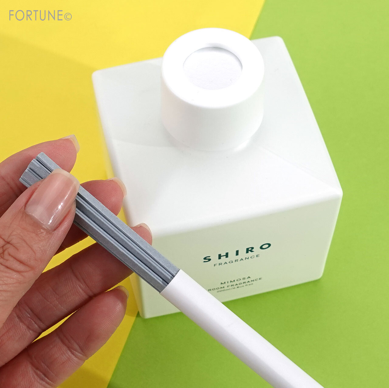 SHIRO（シロ）　ミモザ ルームフレグランス