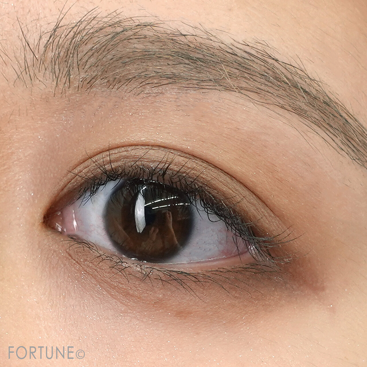 セザンヌ　メイク　ミックスカラーチークN