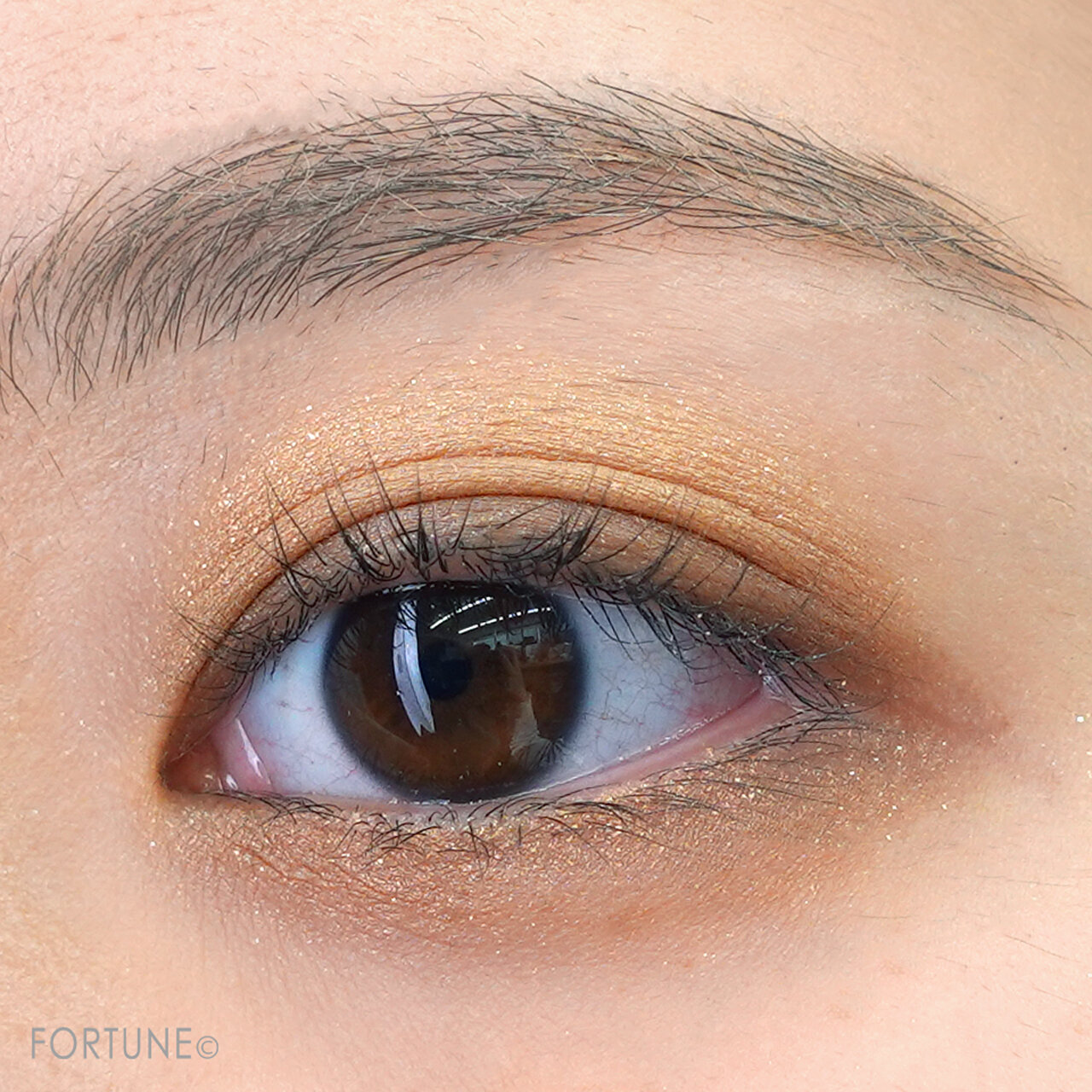 ettusais（エテュセ） アイエディション（カラーパレット）N 〈09 ヘーゼルチャイ〉