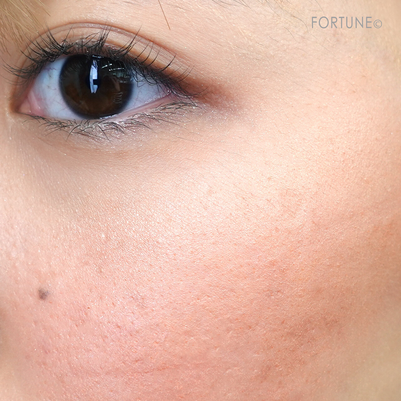 Amplitude（アンプリチュード）　Amplitude コンスピキュアス アイ&チークカラーパレット リミテッドコレクション a