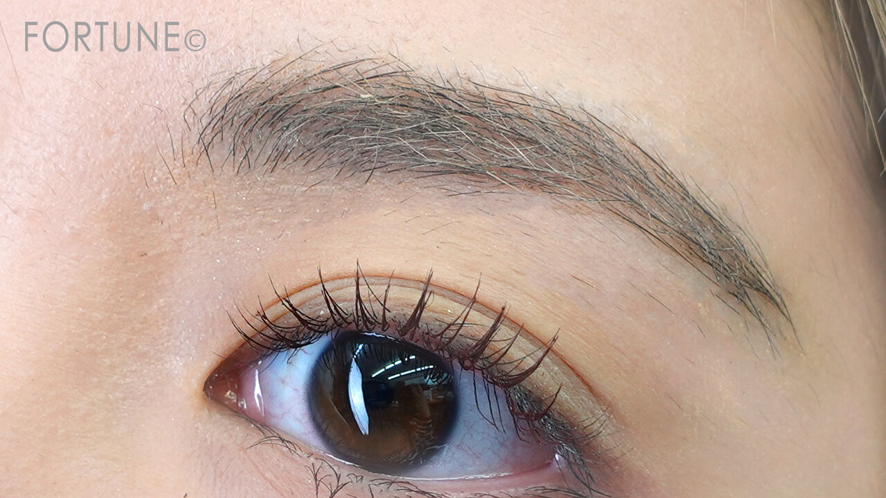 フェイスパウダーとは｜タイコスメ・SRICHAND（シーチャン）トランスルーセントパウダー使い方