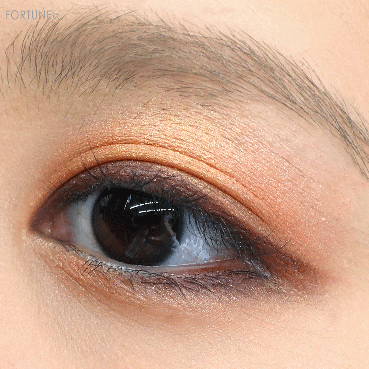 excel（エクセル）　リアルクローズシャドウ　限定色