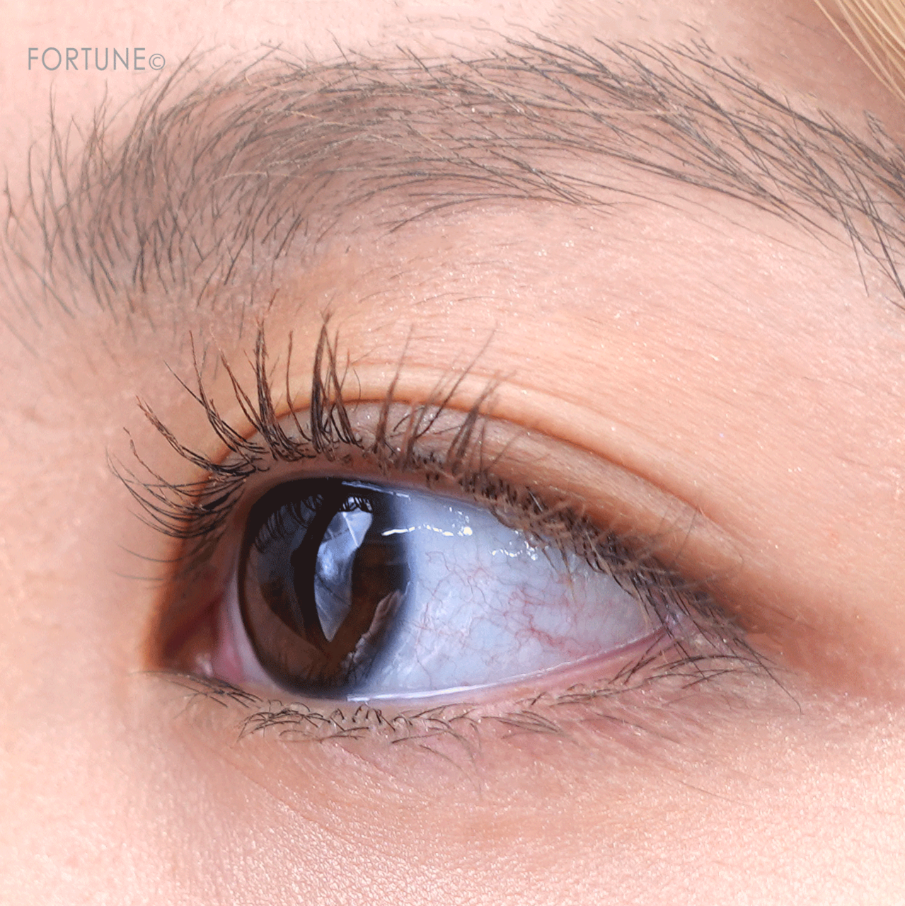 excel（エクセル）　ロング＆カラード　ラッシュ　限定色