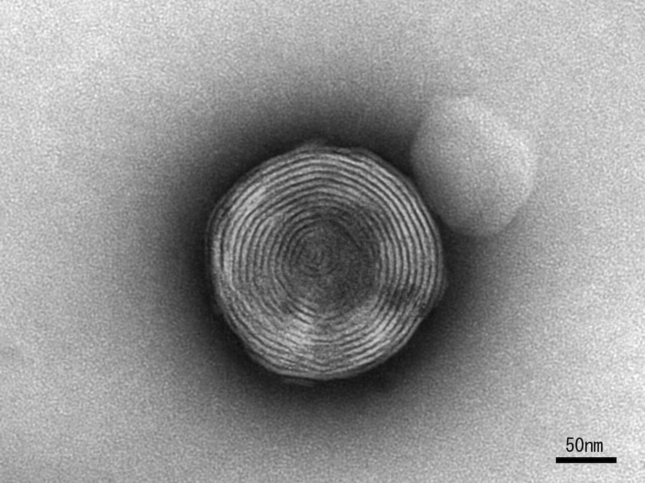 DECORTE（コスメデコルテ）　リポソーム