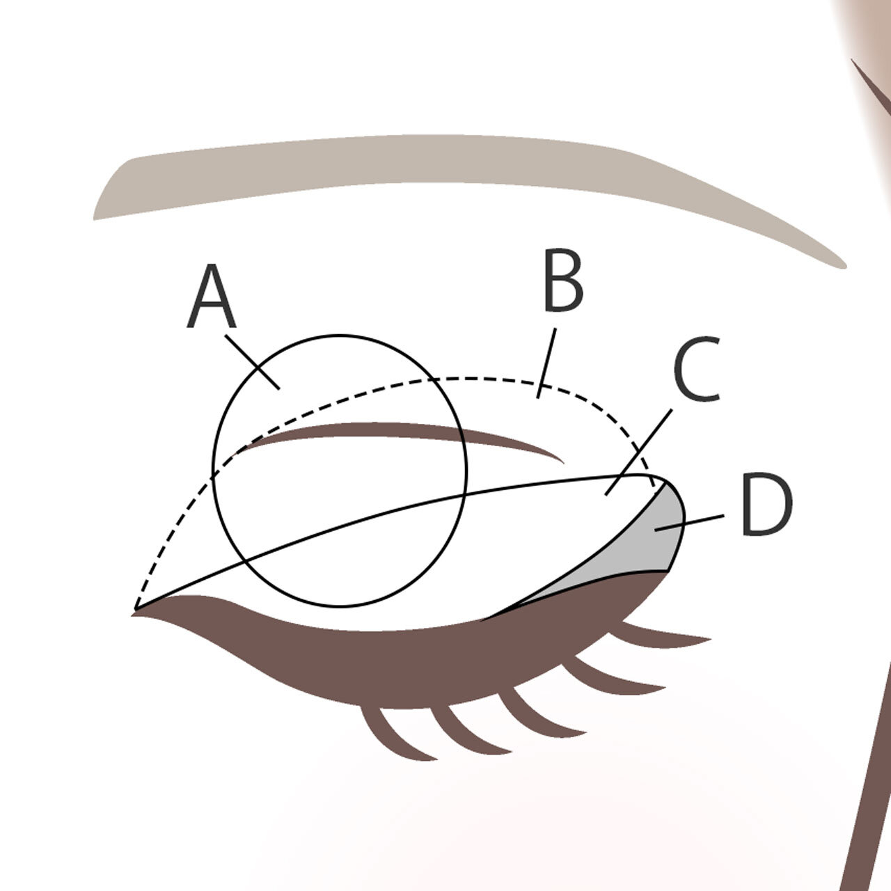SUQQU（スック）　シグニチャー カラー アイズ　使い方