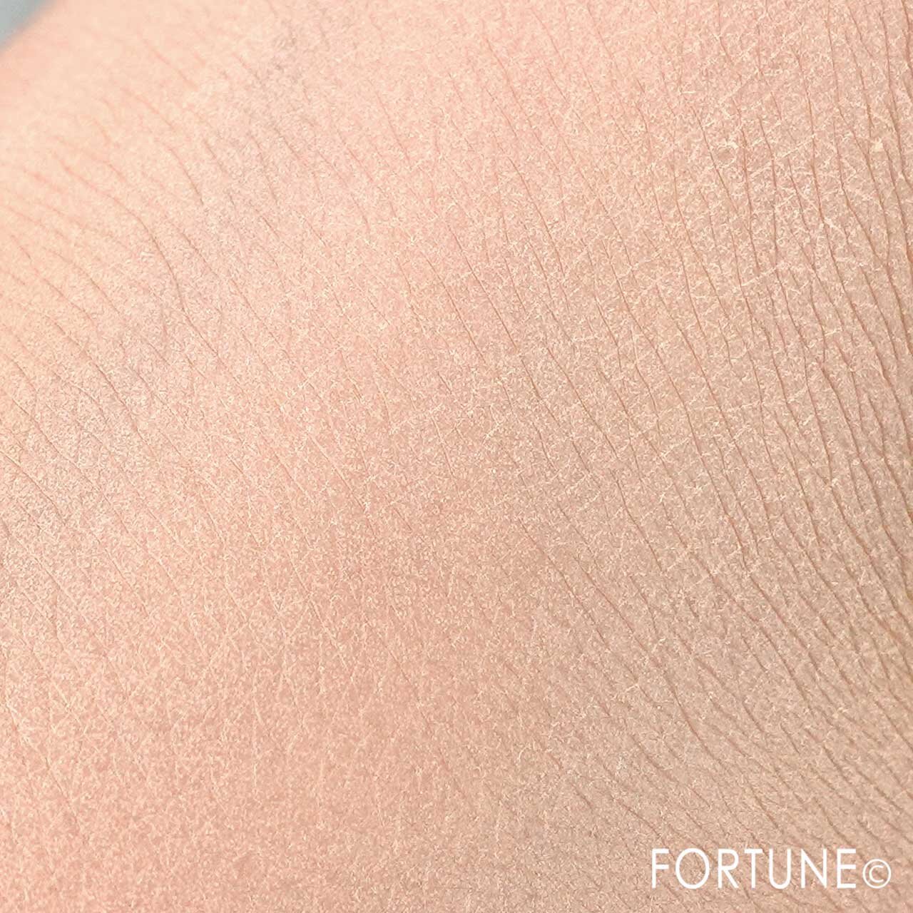 CathyDoll（キャシードール）　カバーマットパウダーパクト　タイコスメ