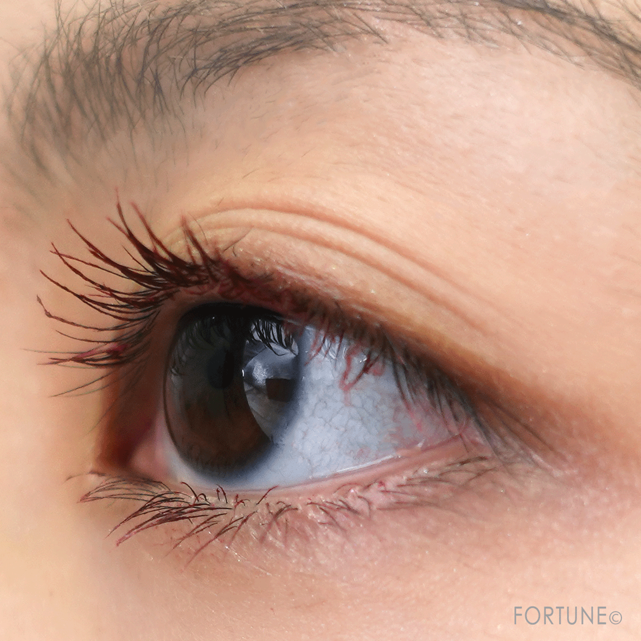 Amplitude（アンプリチュード）　エクストラボリューム カラーマスカラ