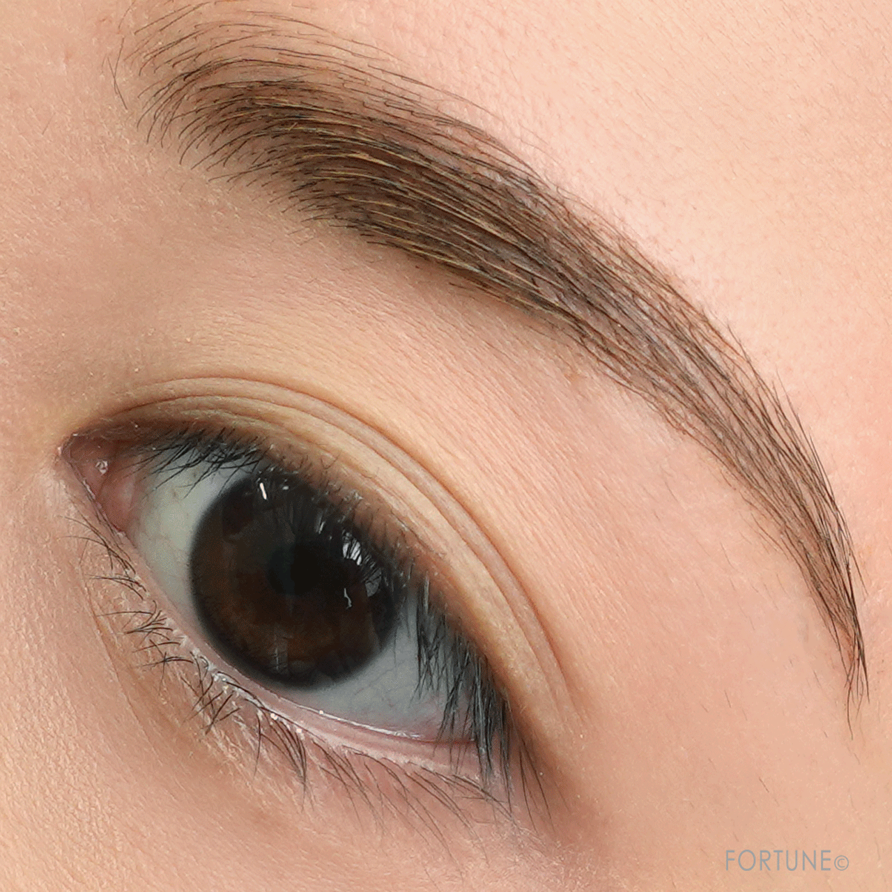 CEZANNE（セザンヌ）　セザンヌ アイブロウマスカラ