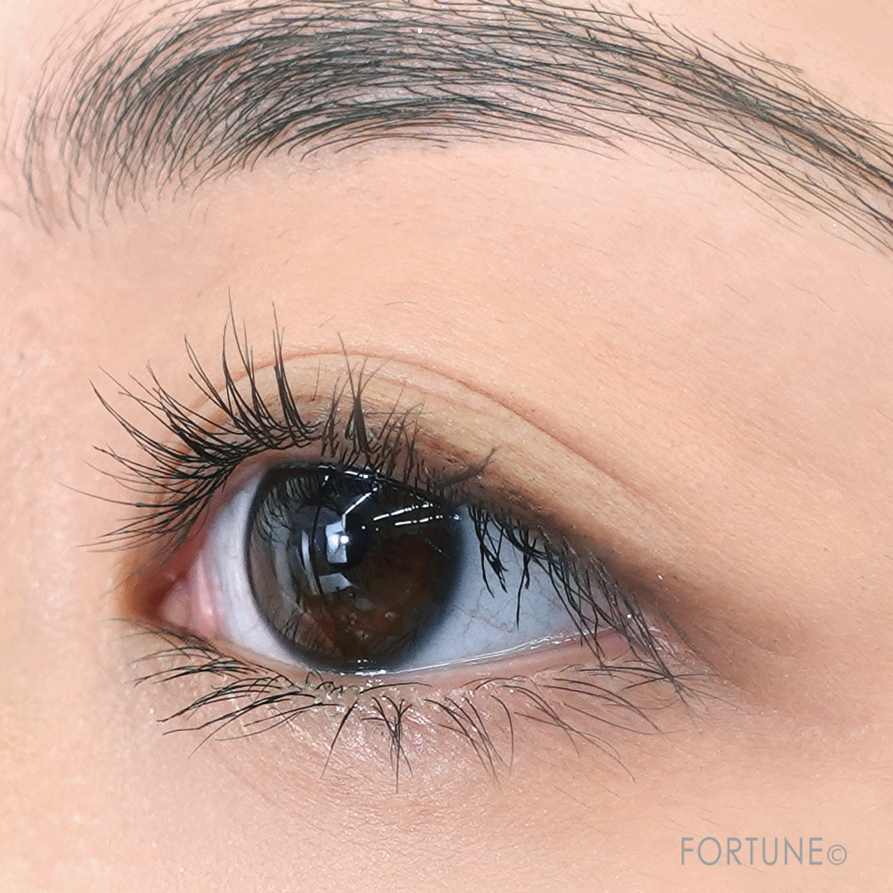 ettusais（エテュセ）　アイエディション　マスカラベース LE　新色