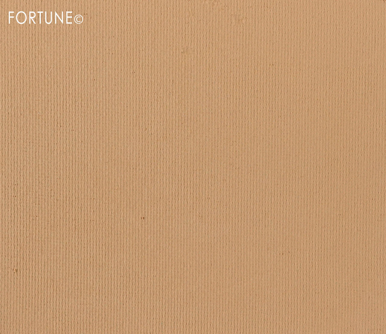 REVLON（レブロン）　カラーステイ ロングウェア UV パウダー ファンデーション キット 2022　ハローキティ コラボレーション