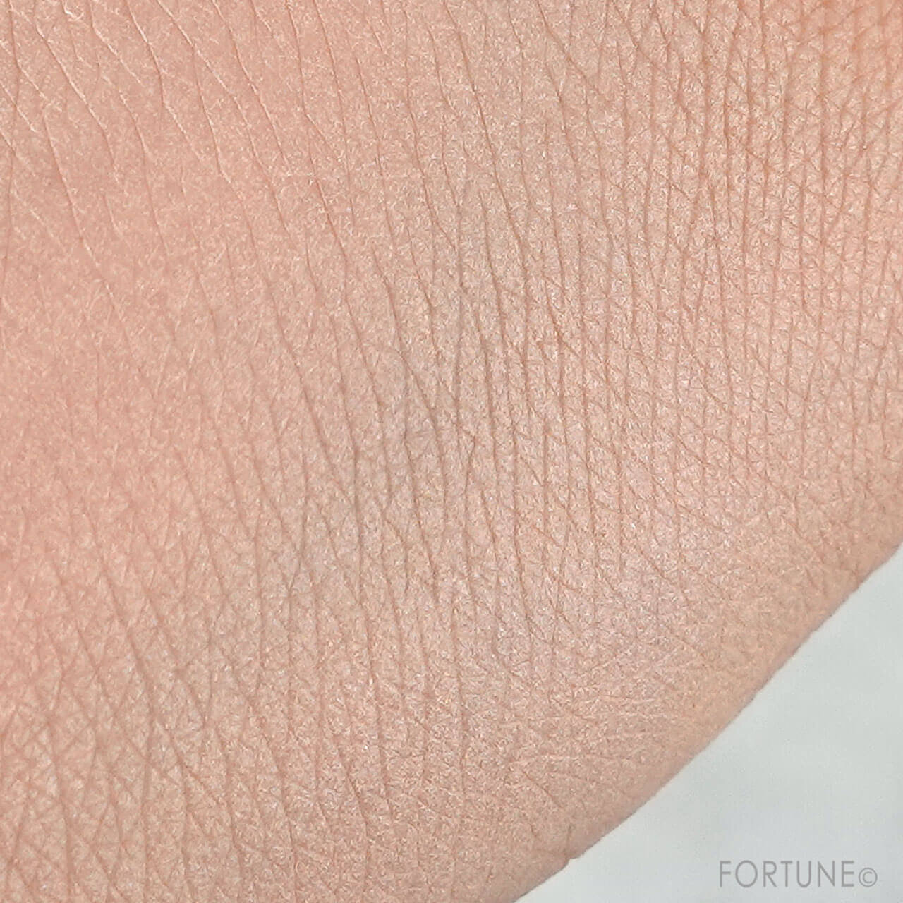 REVLON（レブロン）　カラーステイ ロングウェア UV パウダー ファンデーション キット 2022　ハローキティ コラボレーション