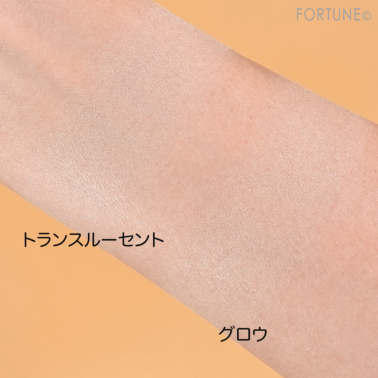 ADDICTION（アディクション）　『インビジブル　エッセンス　ルースパウダー』