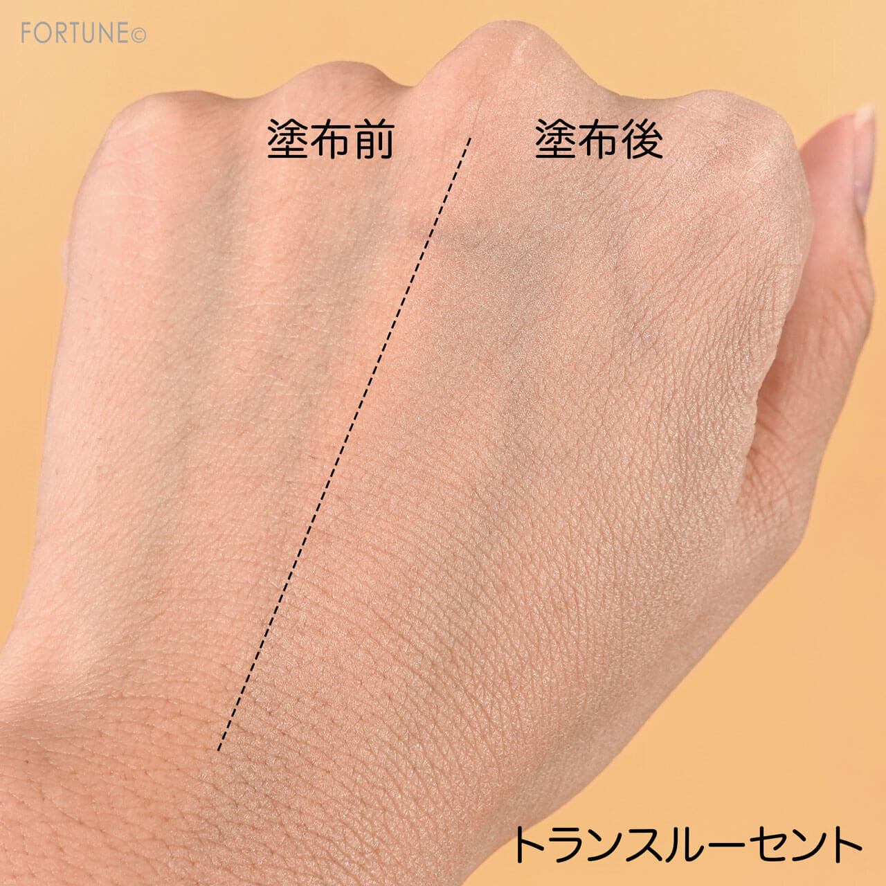 ADDICTION（アディクション）　『インビジブル　エッセンス　ルースパウダー　トランスルーセント』