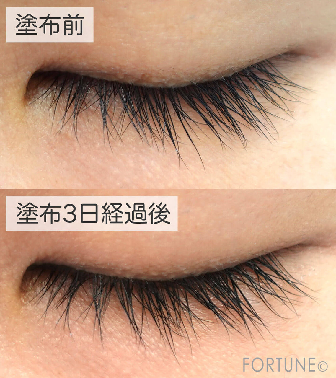 MAJOLICA MAJORCA（マジョリカ マジョルカ）　マジックティント