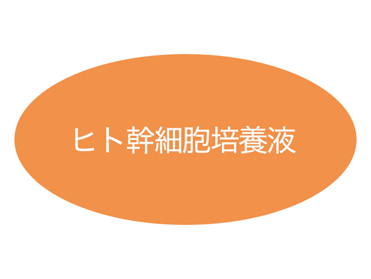 ヒト幹細胞培養液とは 効果・効能
