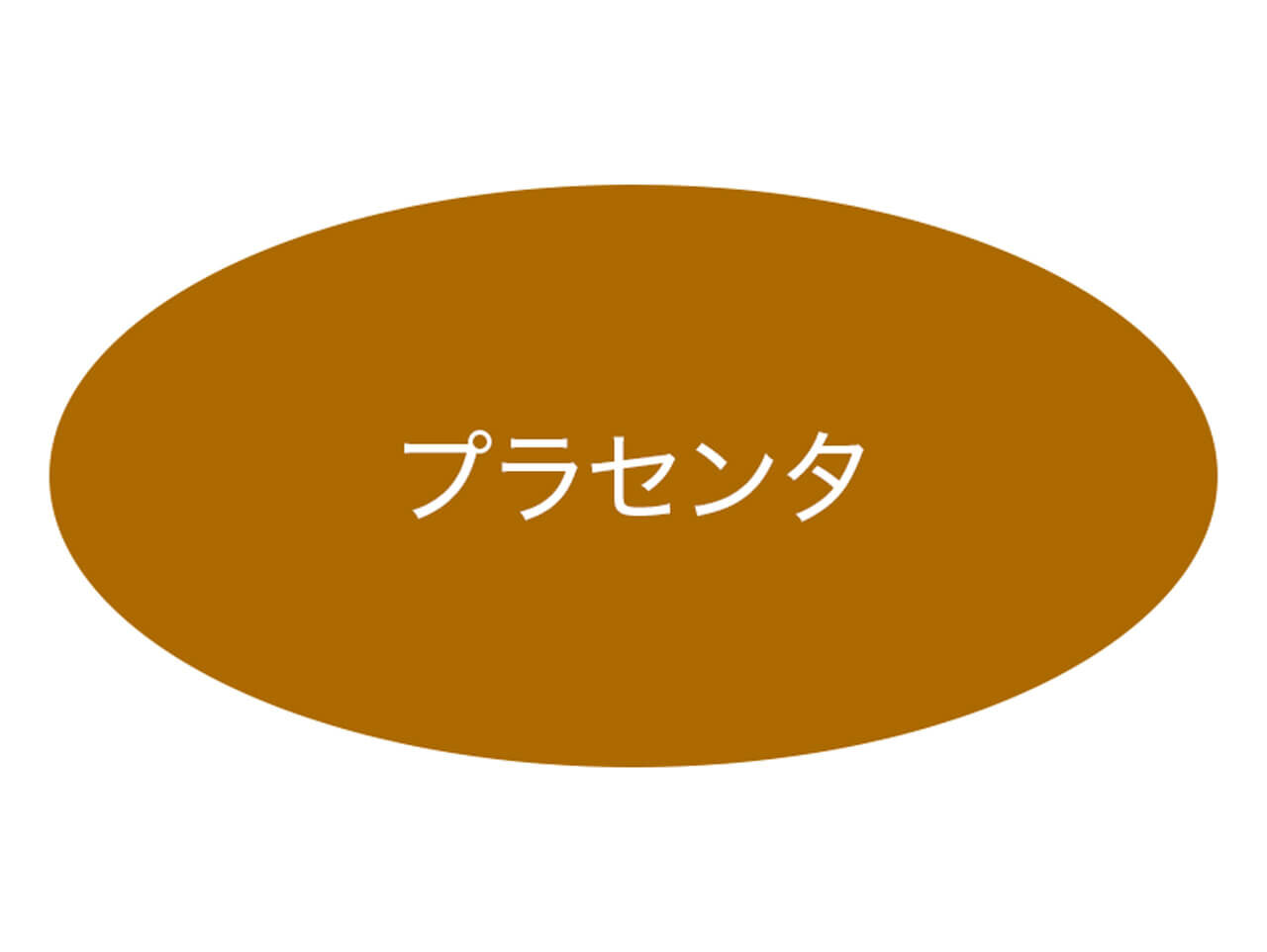 プラセンタとは 効果・効能