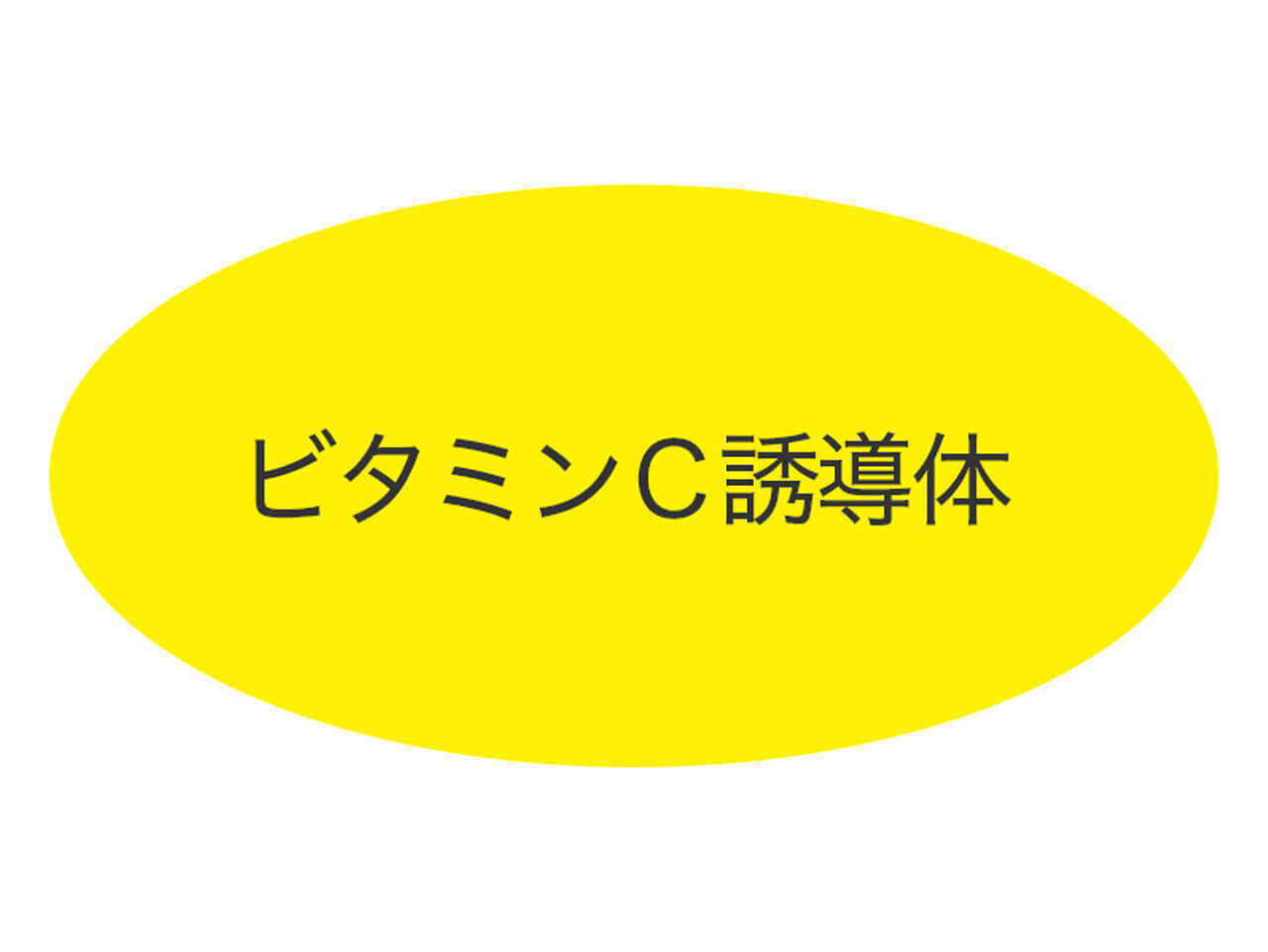 ビタミンＣ誘導体とは 効果・効能