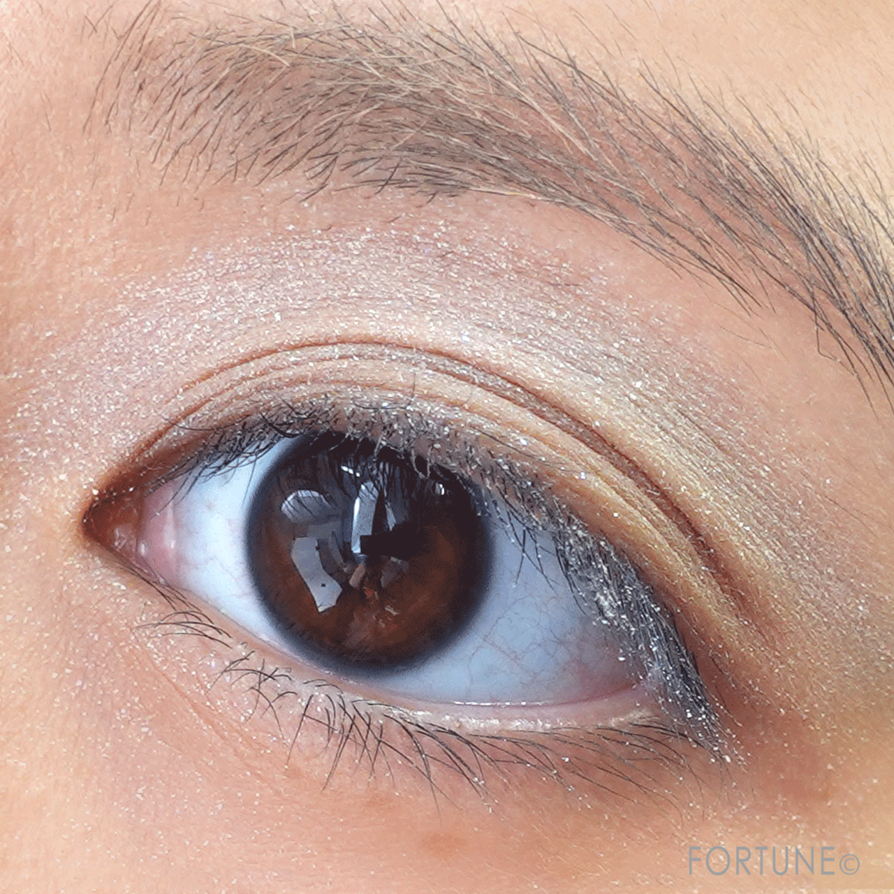 ettusais（エテュセ）　アイエディション（カラーパレット）　新色