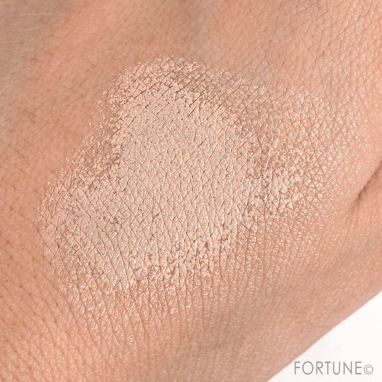 CEZANNE（セザンヌ） セザンヌ クッションファンデーション　10