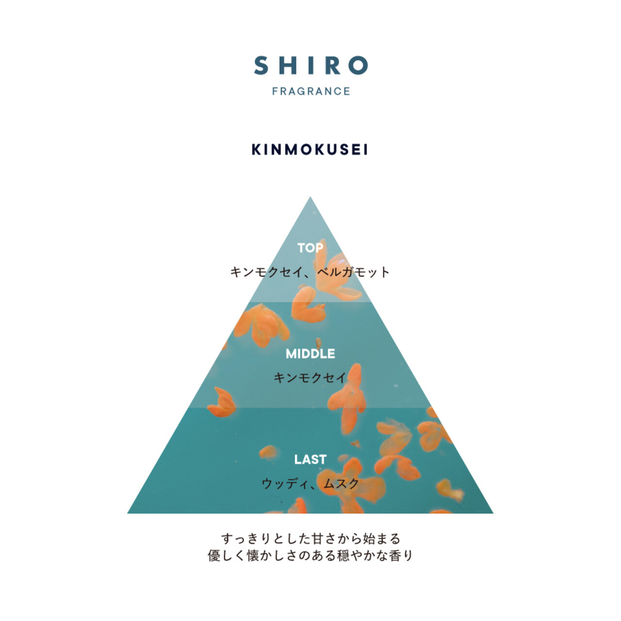 SHIRO（シロ）　フレグランス　キンモクセイ