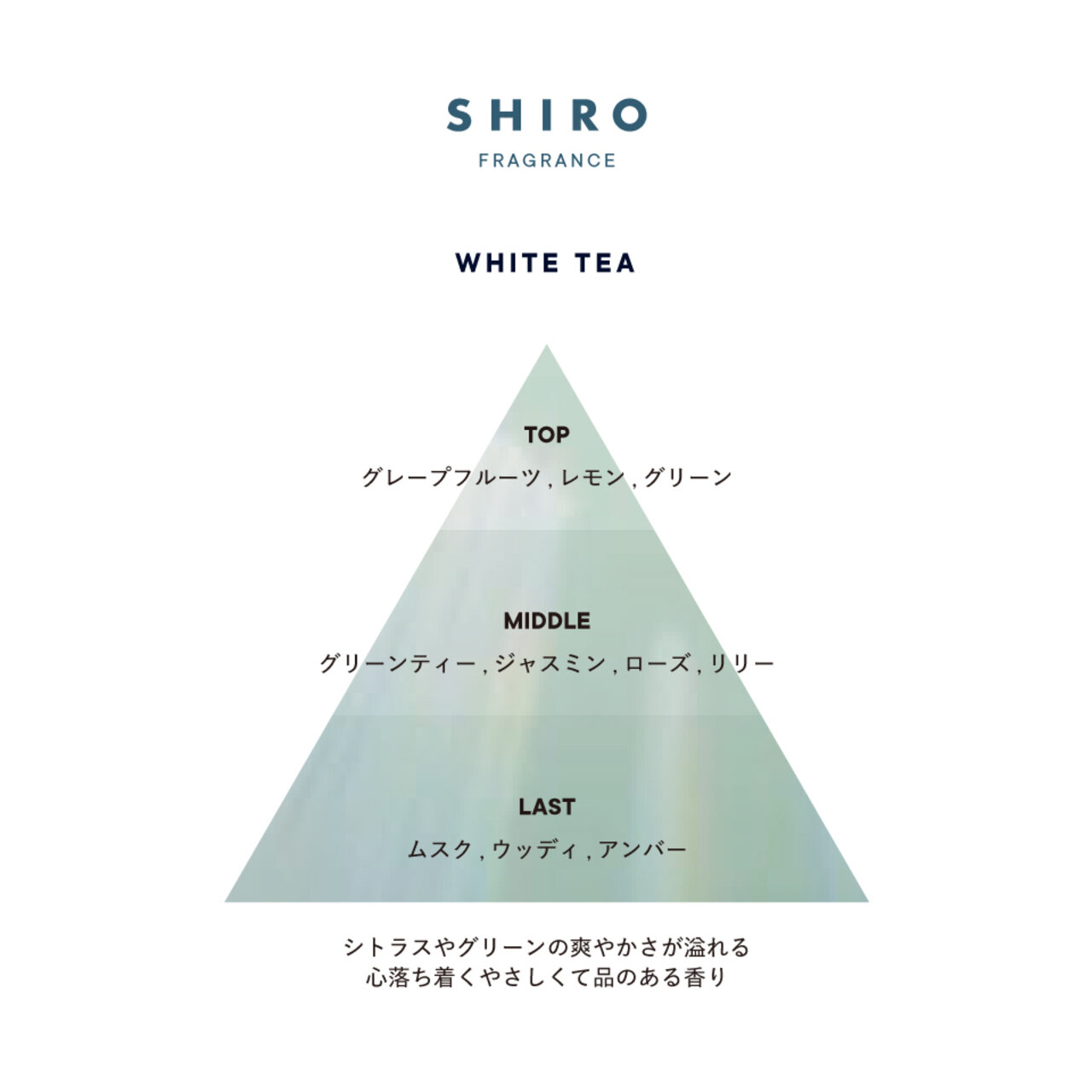 SHIRO（シロ）　フレグランス　ホワイトティー