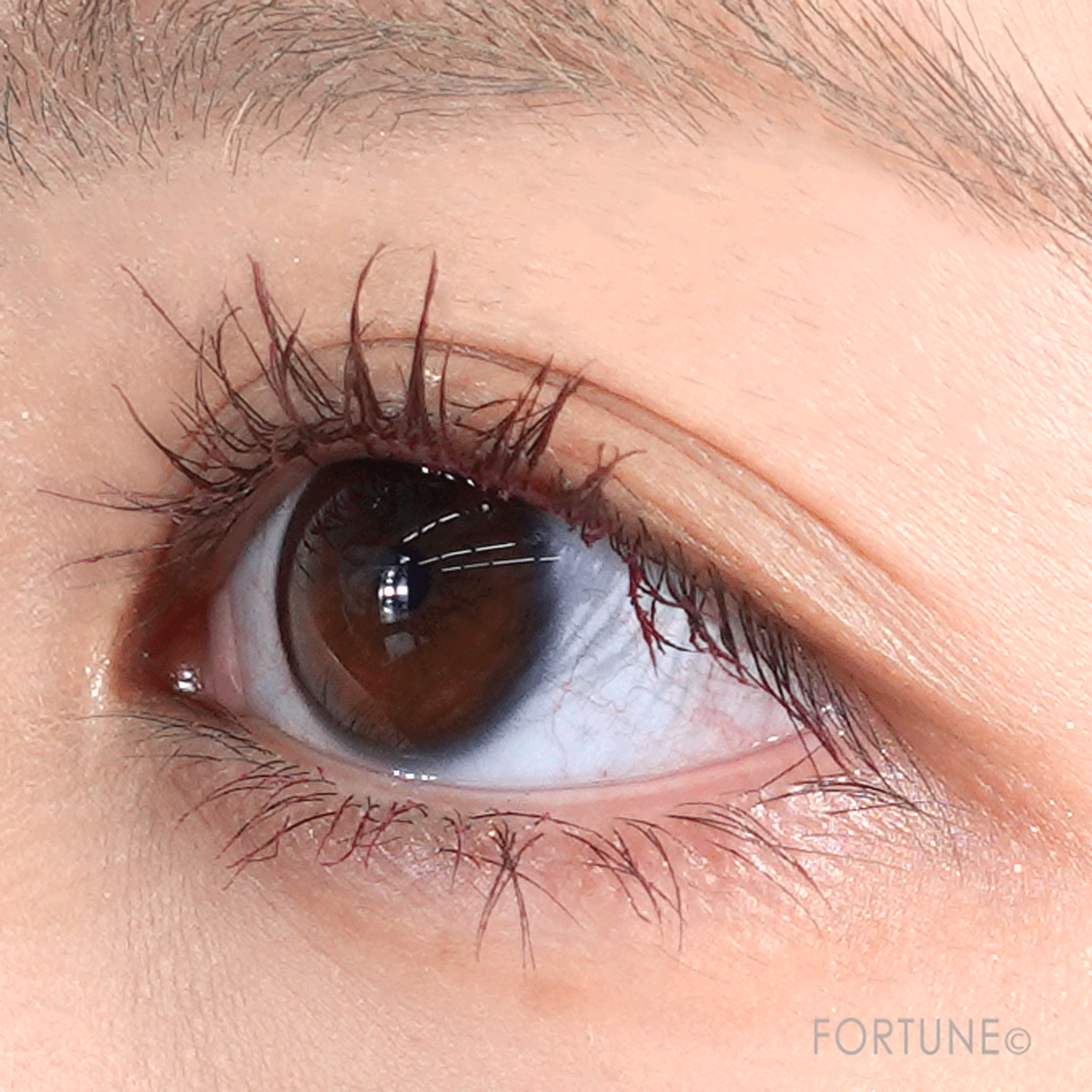 CEZANNE（セザンヌ）　『セザンヌ 耐久カールマスカラ』　03