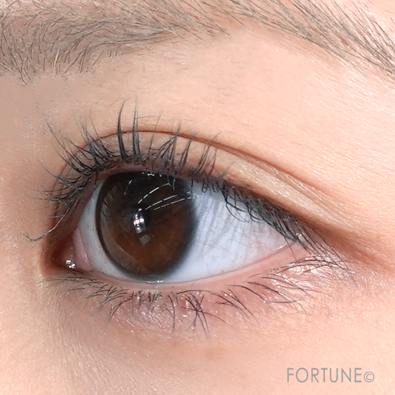 ettusais（エテュセ）　『エテュセ アイエディション（マスカラベース）LE』　R728 夢中ネイビー　