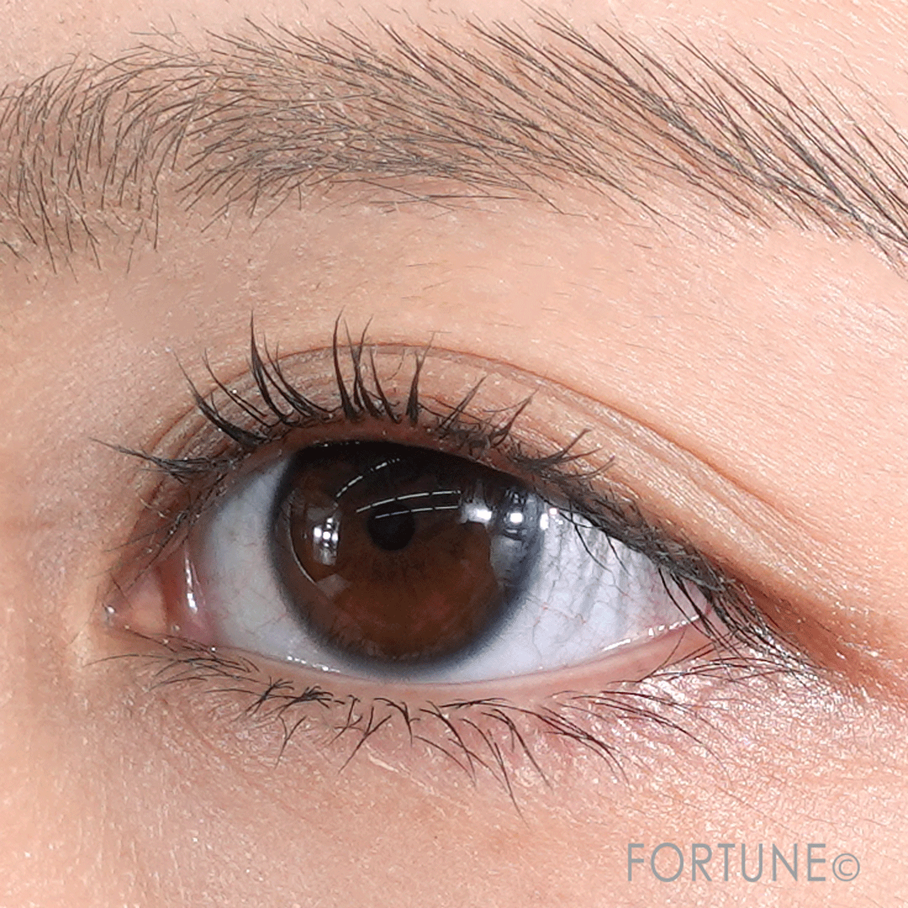 アディクション　ザ マスカラ プライマー　カール フィクサー