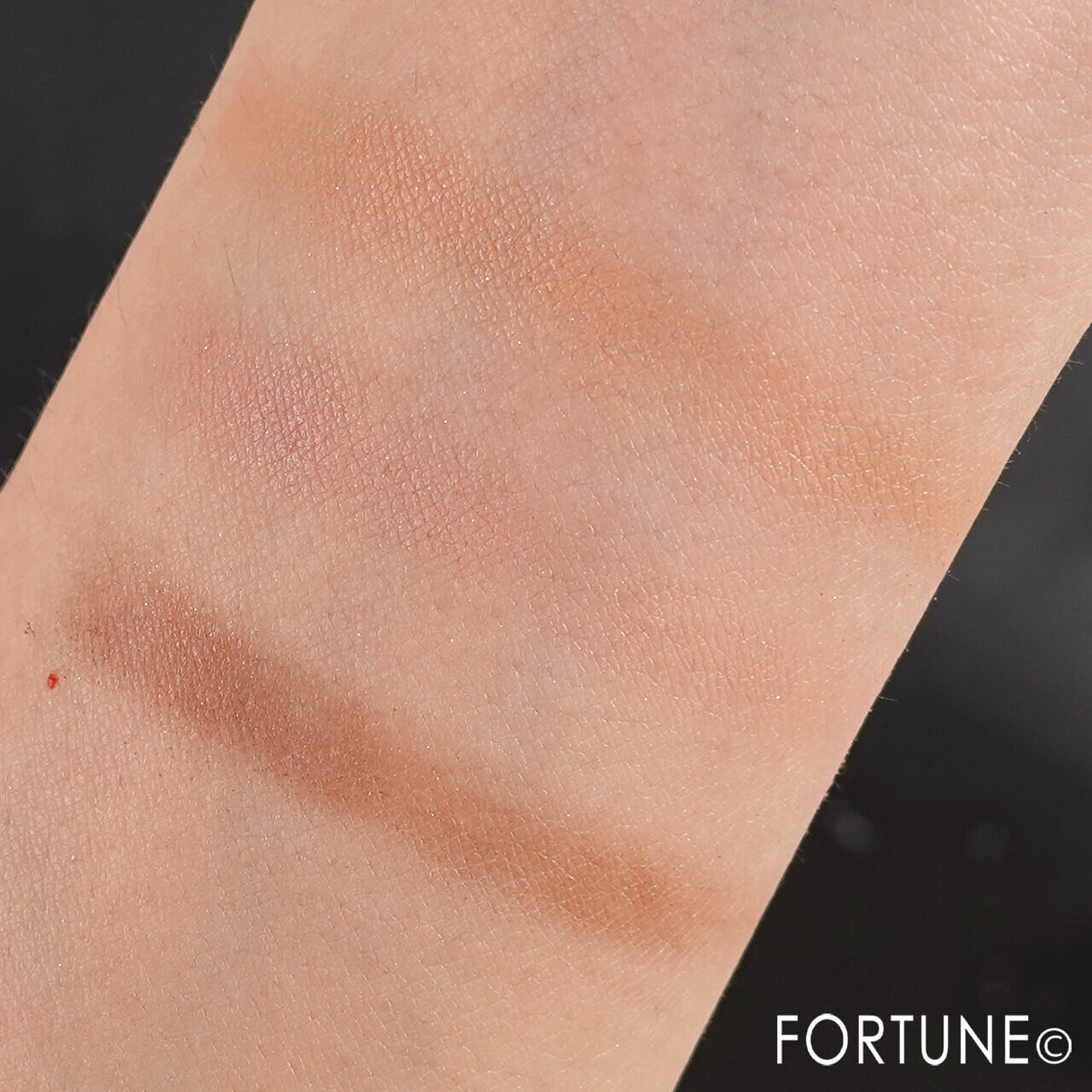 CEZANNE（セザンヌ）　ノーズ＆アイブロウパウダー