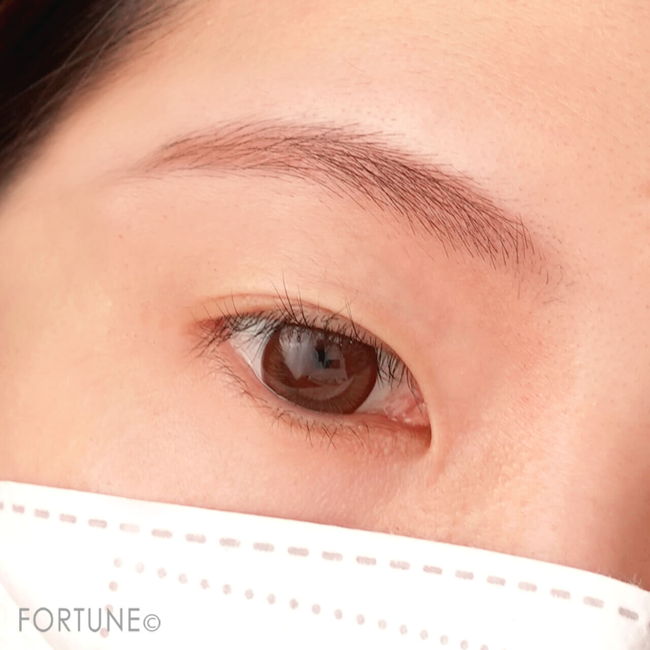 CEZANNE（セザンヌ）　ノーズ＆アイブロウパウダー