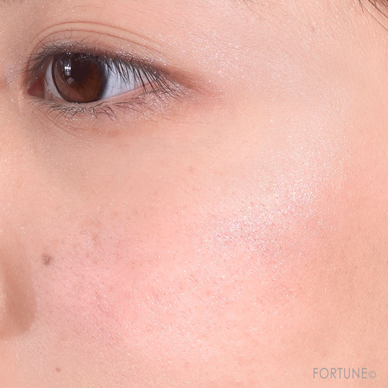 Amplitude（アンプリチュード）　コンスピキュアス モノチークス