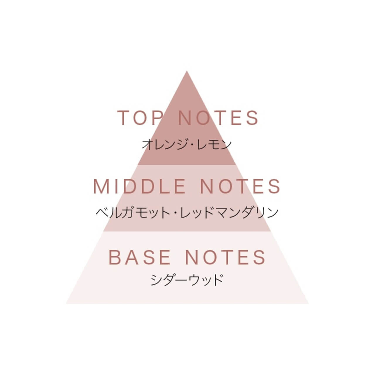 REUNROM（レンロン）「ボディ＆ヘアケア トラベルセット」エナージングウッド