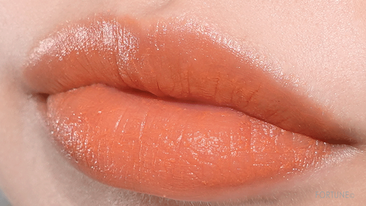 ETVOS（エトヴォス）　ミネラルシアーマットルージュ