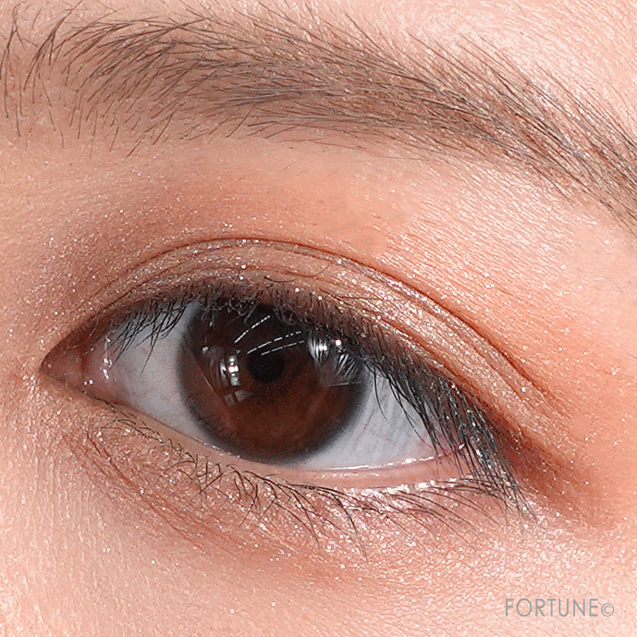 ettusais（エテュセ）　エテュセ アイエディション（カラーパレット）