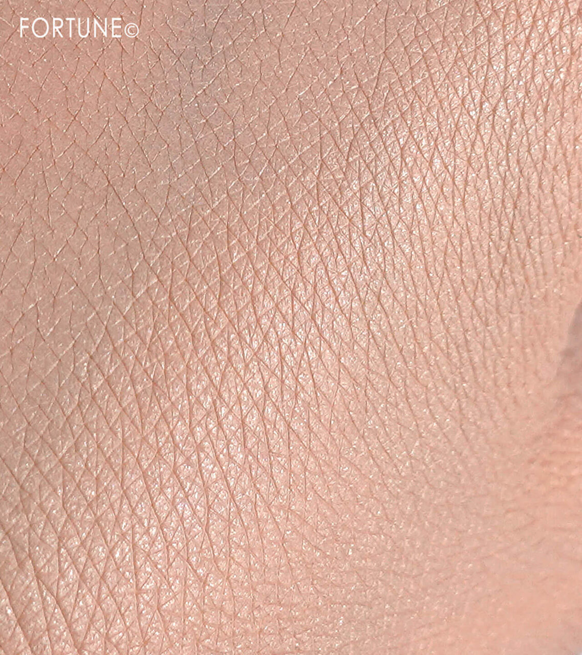 LAURA MERCIER（ローラ メルシエ）　『フローレス ルミエール ラディアンス パーフェクティング トーンアップ クッション』