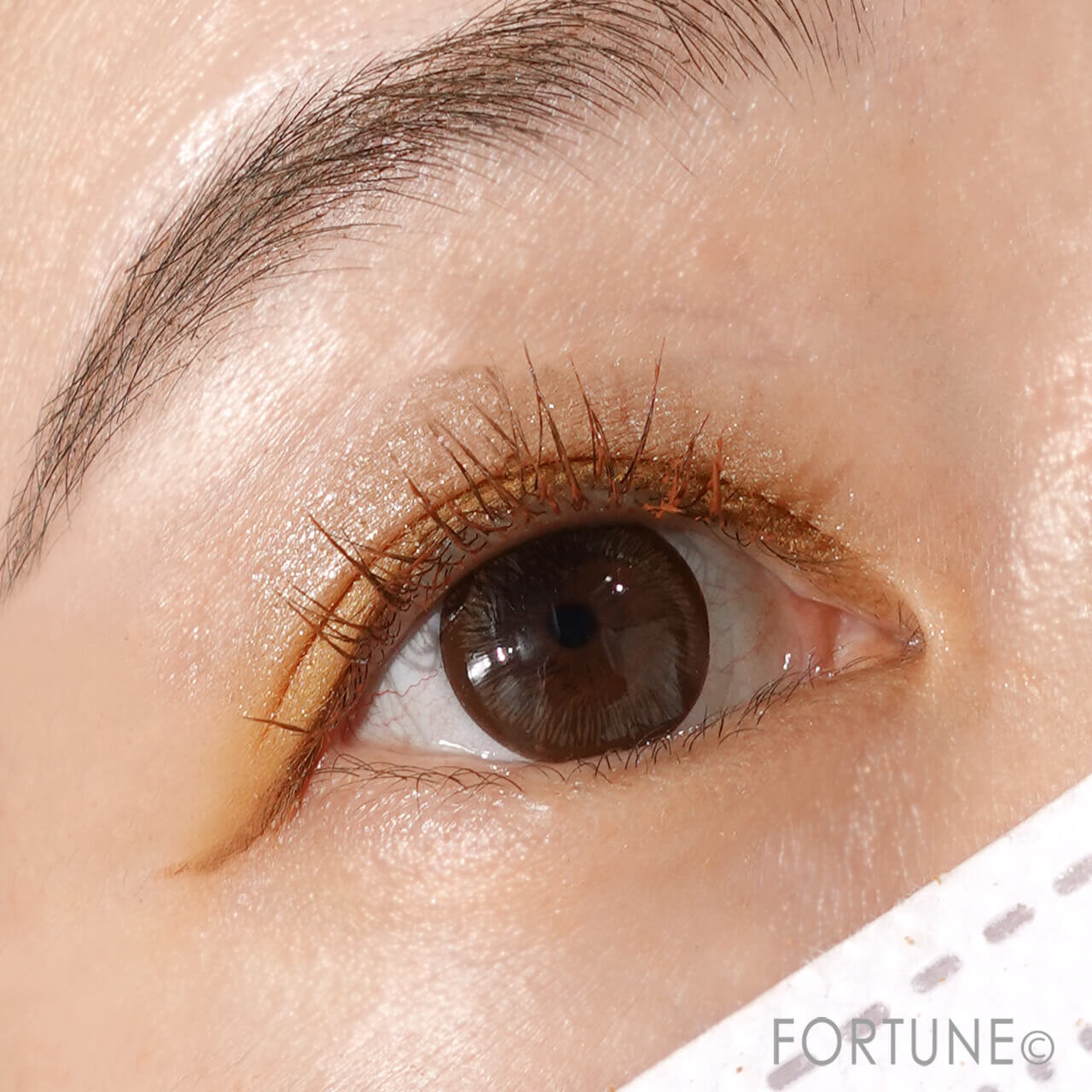 ettusais（エテュセ）　2023年夏新作コスメ