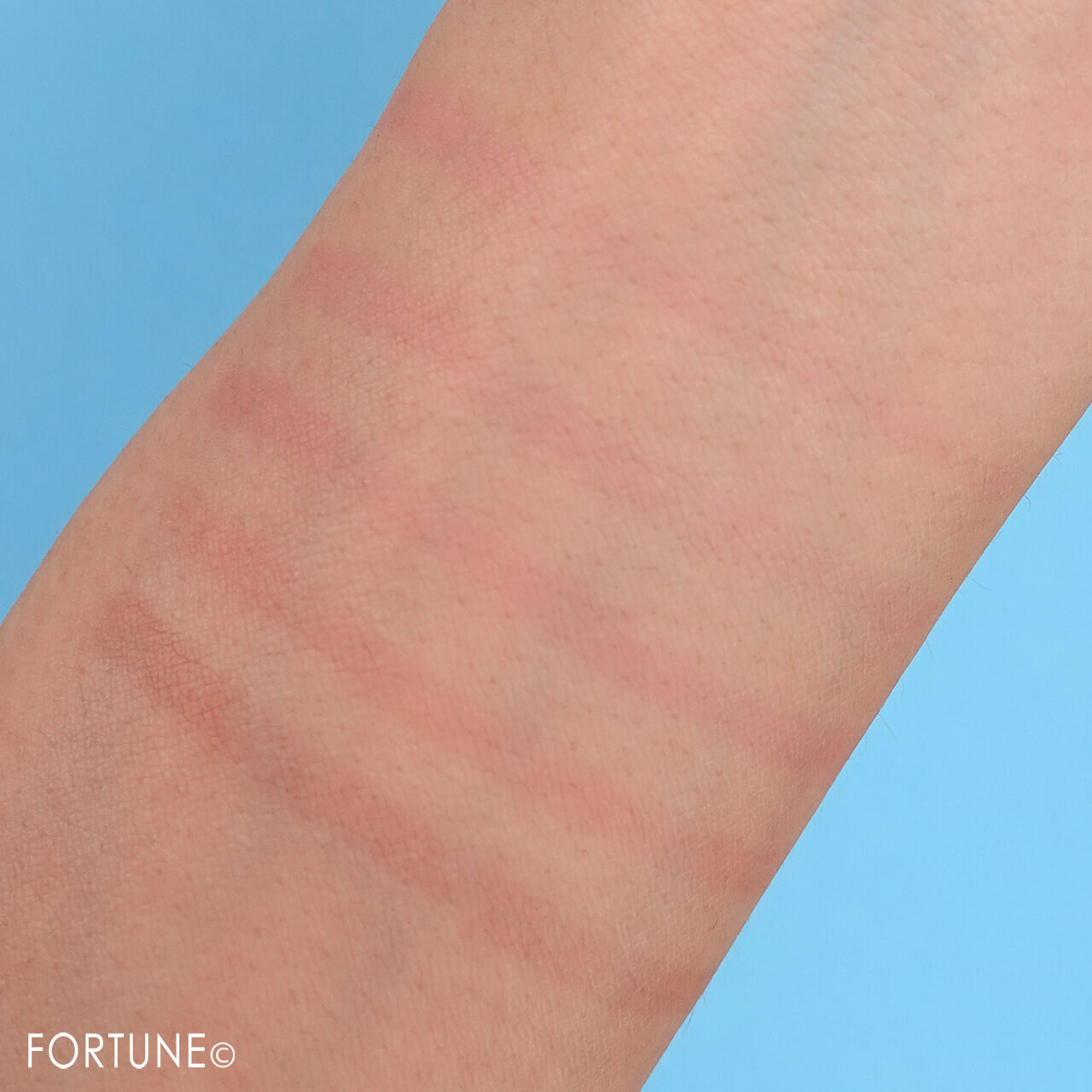 IPSA（イプサ）　『リップペンシル LE』