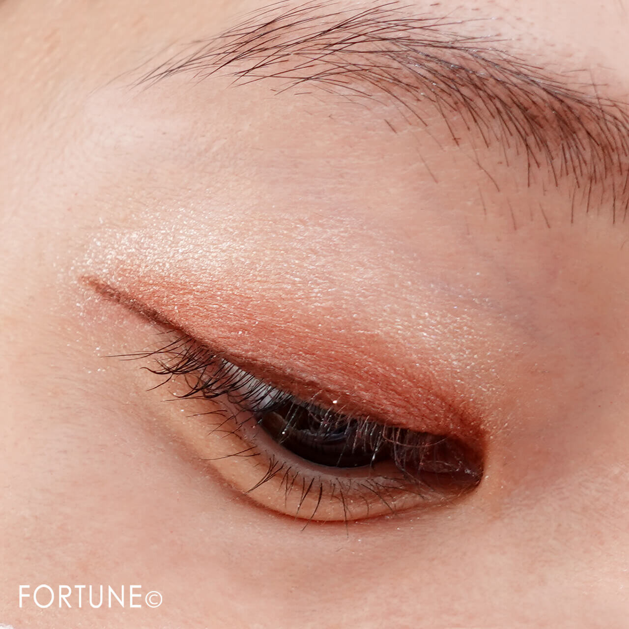 エテュセ　アイエディション　（ジェルライナー）　マホガニーレッド