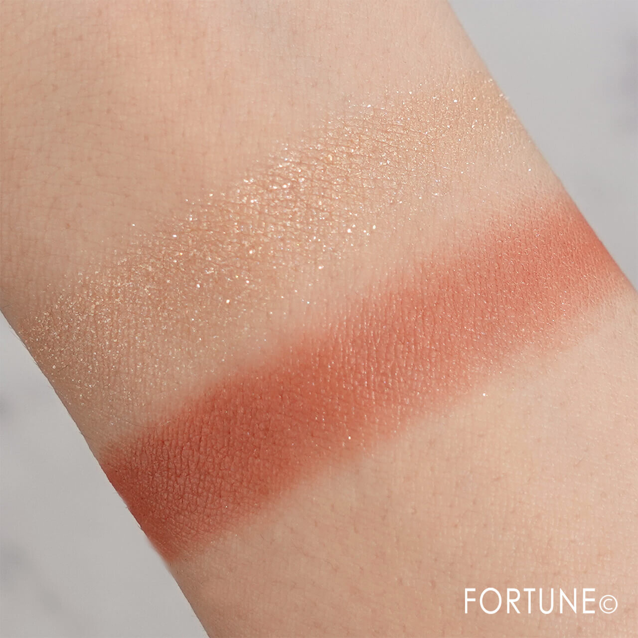 エテュセ　アイエディション　（カラーパレット）　マホガニーレッド