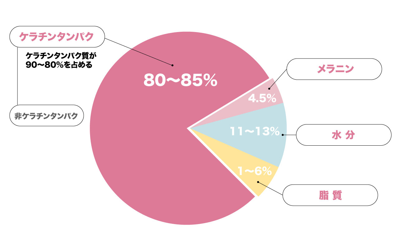 髪質構成イメージ