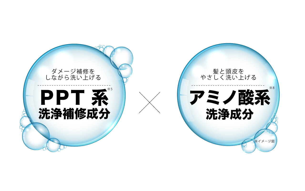 PPT系洗浄成分とは