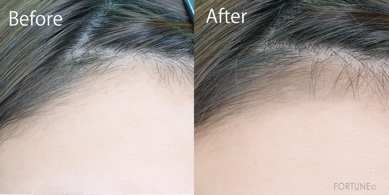 セザンヌ ヘアメイクパウダー　2023年秋新作